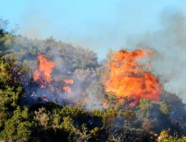 Σε ύφεση η μεγάλη πυρκαγιά στη Ζάκυνθο